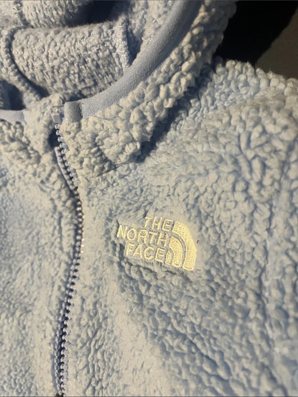 The North Face Light Blue Kids Sherpa Zip Hoodie